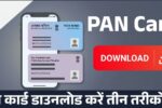 Download Pan Card PDF Online